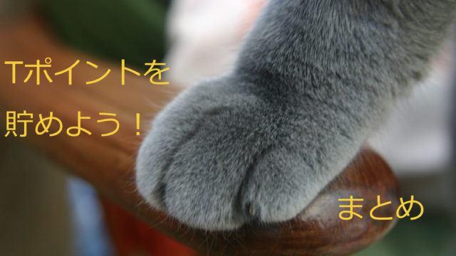 猫の前足のアップ